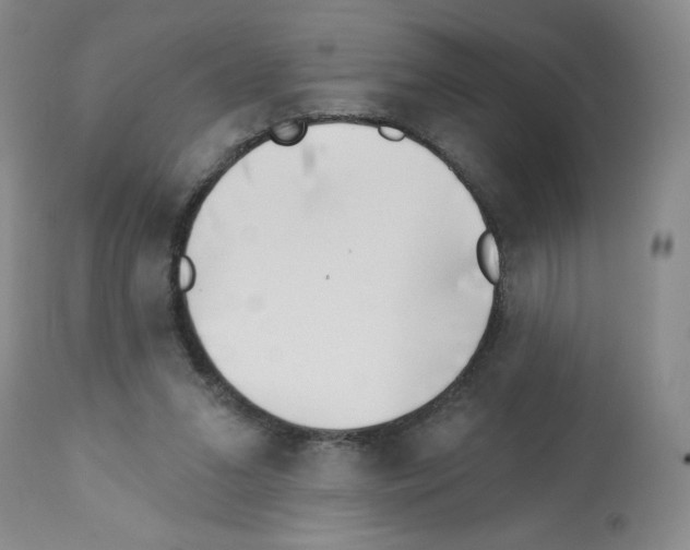 X0000112460207200909281029