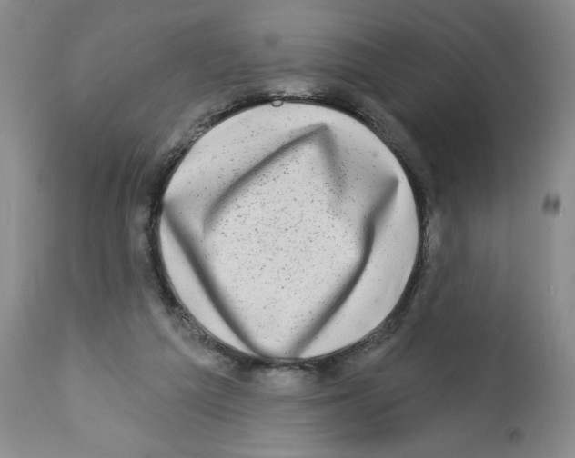 X0000112460209200909281029