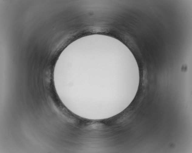 X0000112460210200909281029