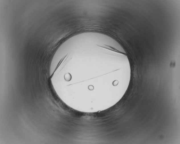 X0000112460211200909281029