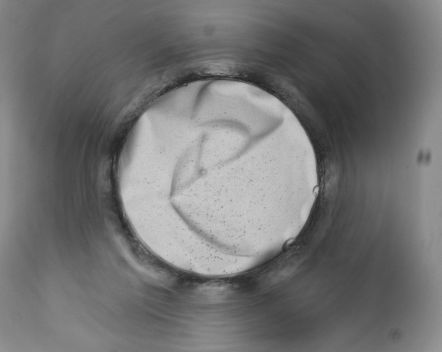 X0000112460213200909281029