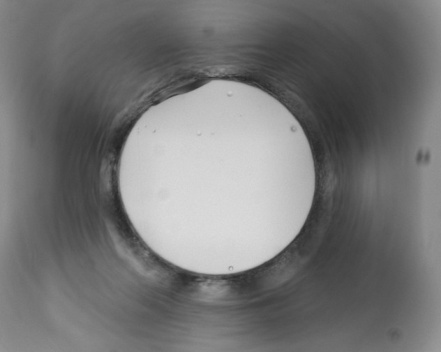 X0000112460214200909281029