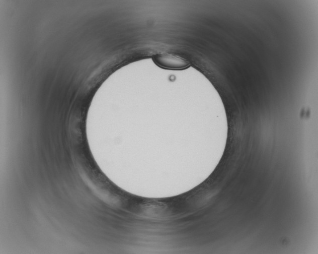 X0000112460215200909281029