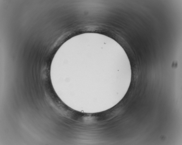 X0000112460216200909281029