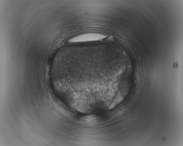 X0000112460219200909281029