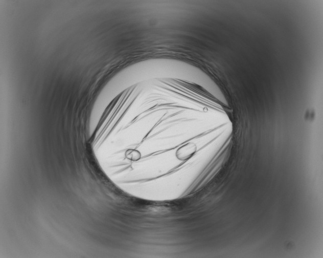 X0000112460220200909281029