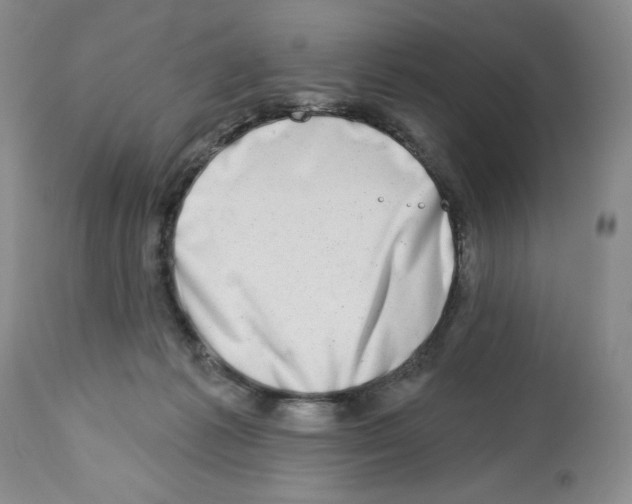X0000112460221200909281029