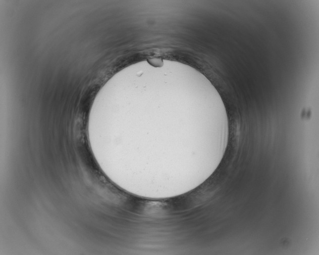 X0000112460222200909281029