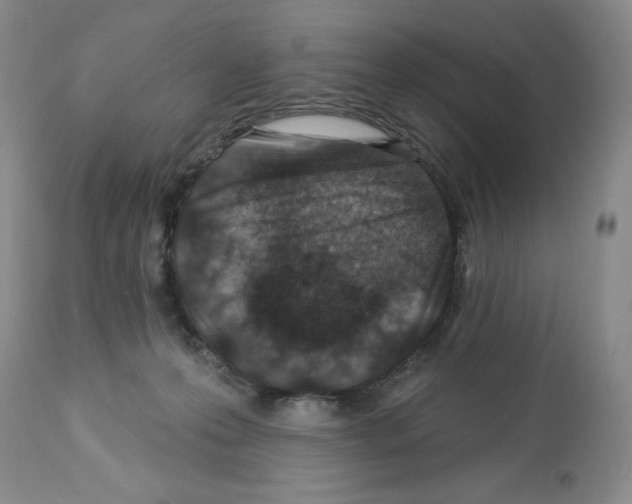 X0000112460223200909281029