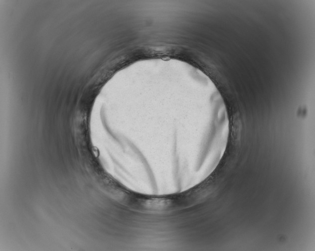 X0000112460225200909281029