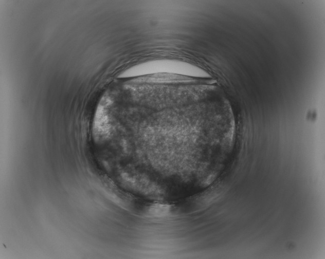 X0000112460227200909281029