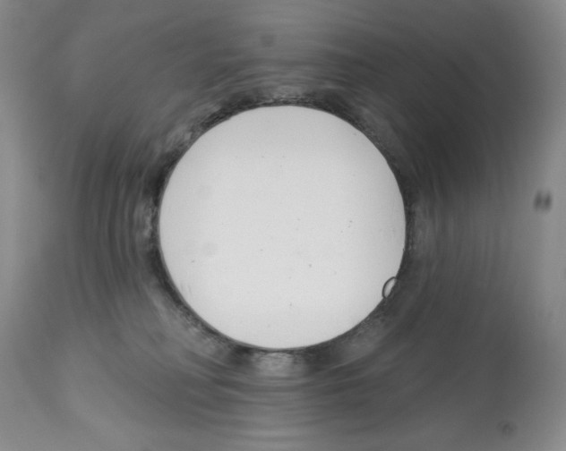 X0000112460230200909281029