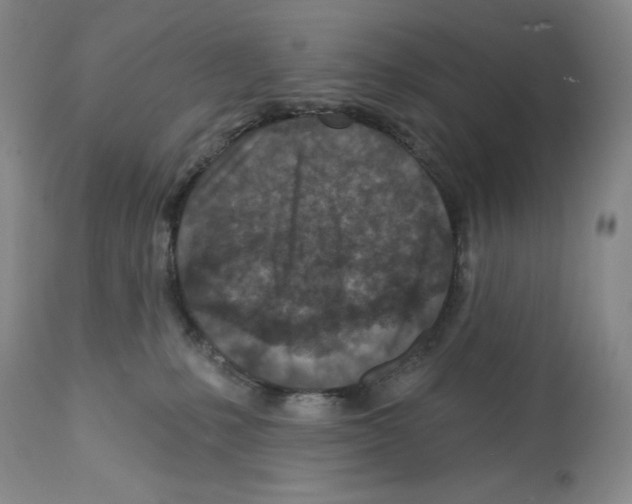 X0000112460231200909281029