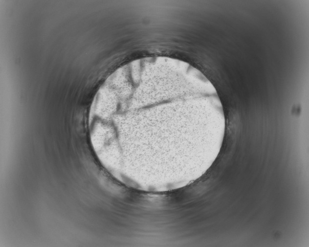 X0000112460233200909281029