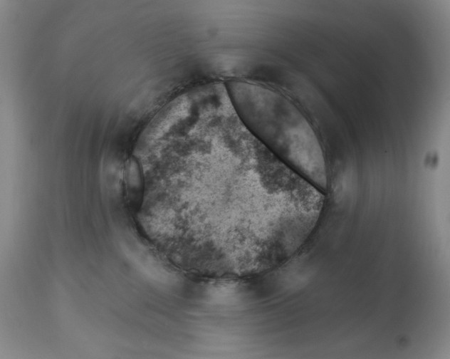 X0000112460235200909281029