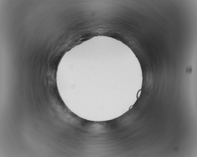 X0000112460236200909281029