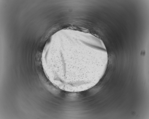 X0000112460237200909281029