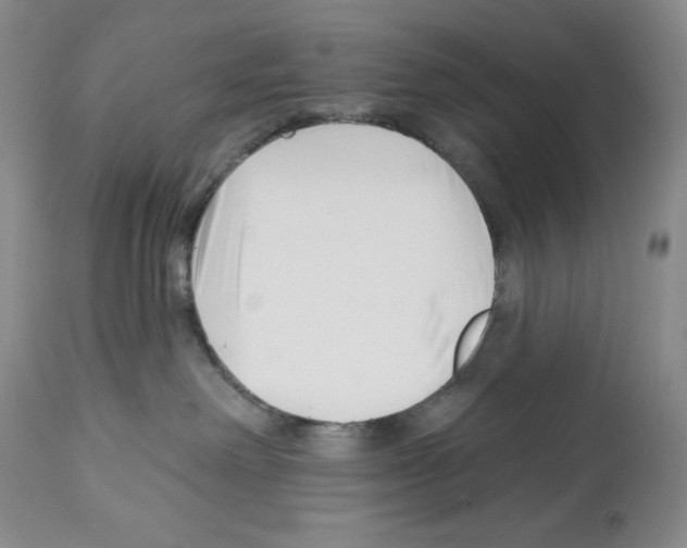 X0000112460238200909281029