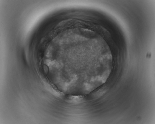 X0000112460239200909281029
