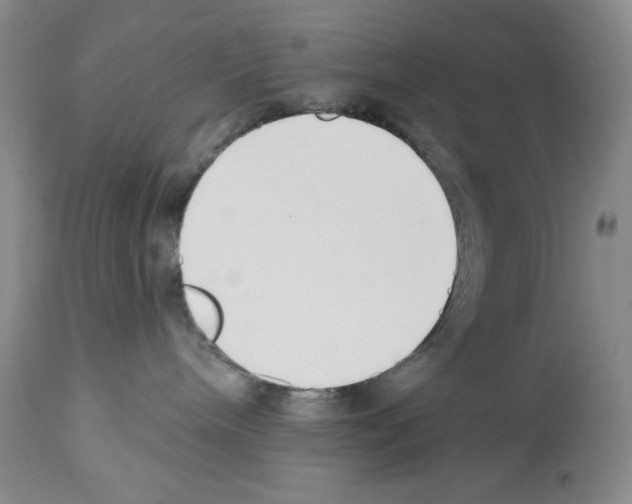 X0000112460240200909281029