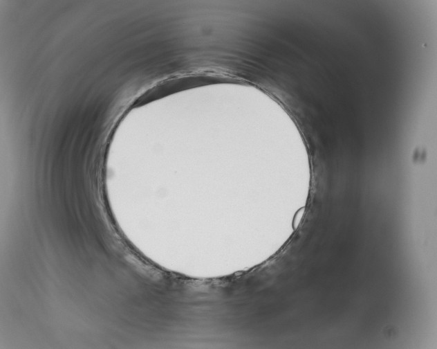 X0000112460241200909281028