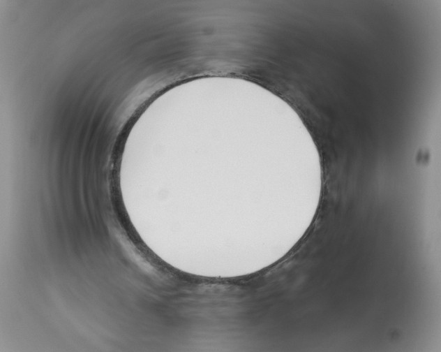 X0000112460242200909281028