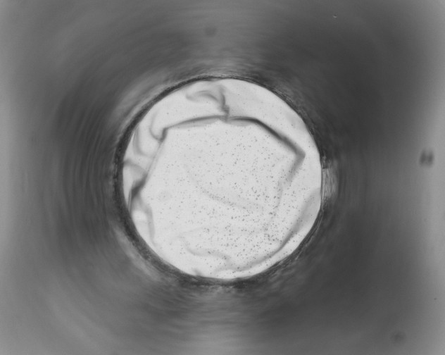 X0000112460243200909281028