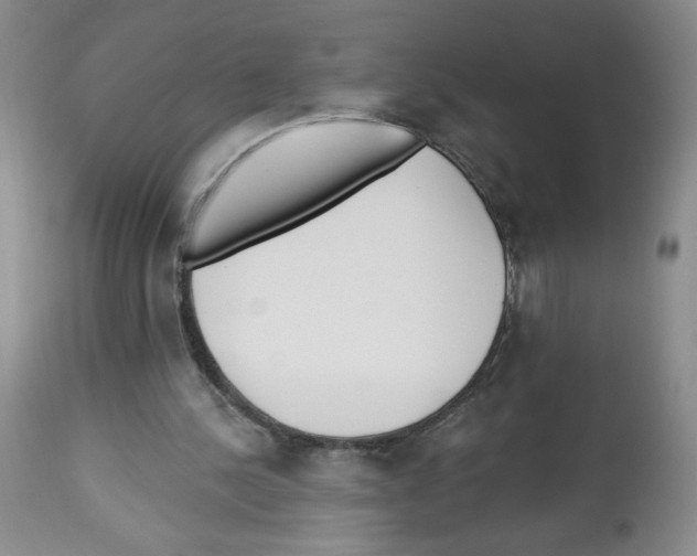 X0000112460244200909281028