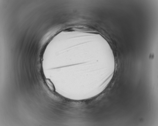 X0000112460245200909281028