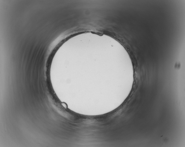 X0000112460246200909281028