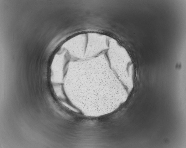 X0000112460247200909281028