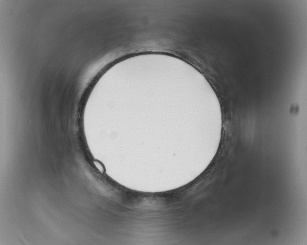 X0000112460248200909281028