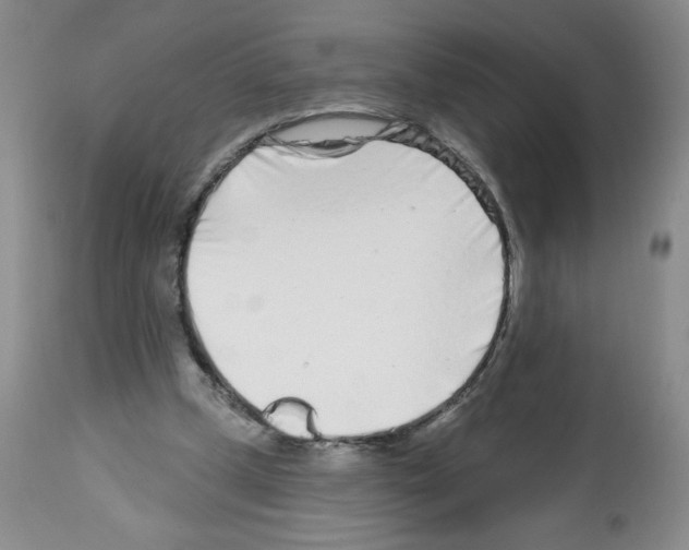 X0000112460249200909281028