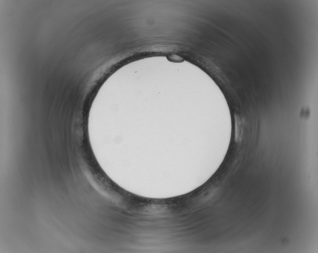 X0000112460252200909281028