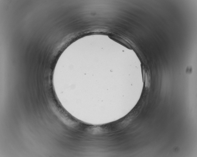 X0000112460253200909281028