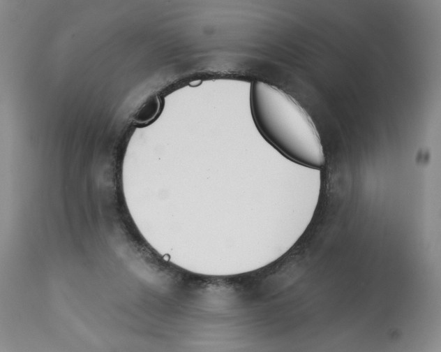 X0000112460256200909281028