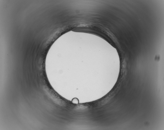 X0000112460257200909281028