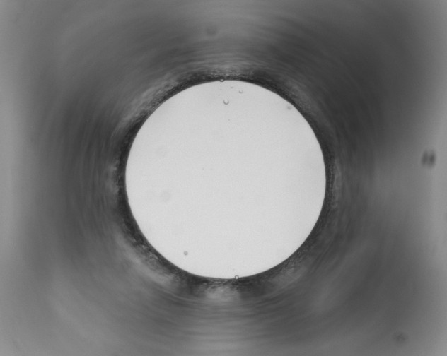 X0000112460258200909281028