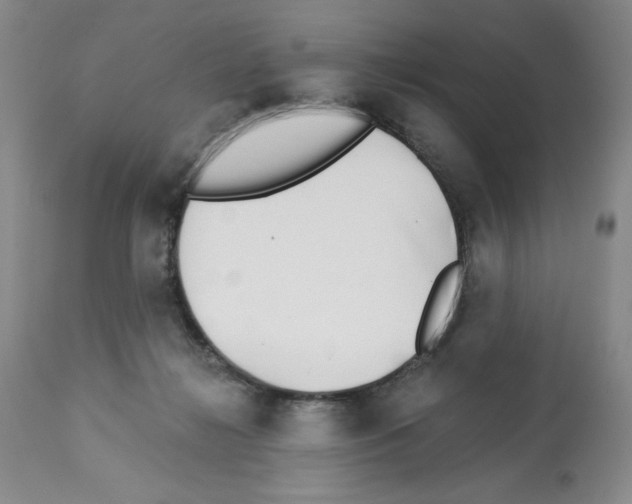 X0000112460268200909281028
