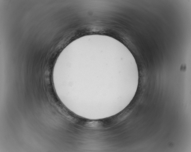 X0000112460269200909281028