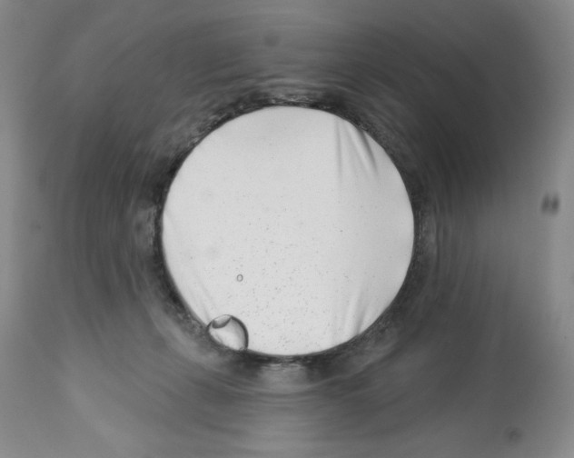 X0000112460271200909281028