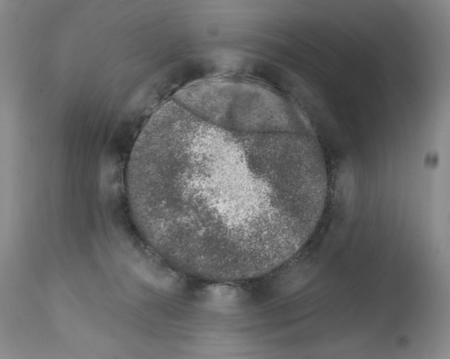X0000112460272200909281028