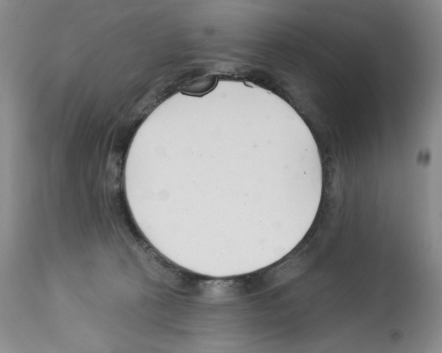 X0000112460273200909281028