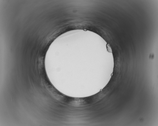X0000112460278200909281028