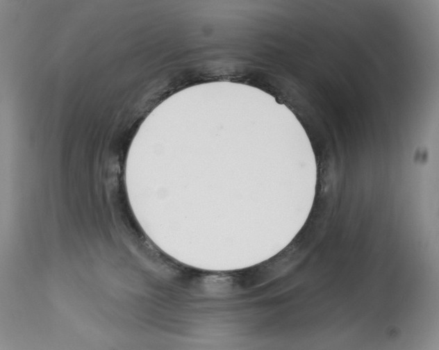 X0000112460279200909281028
