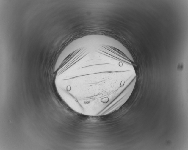 X0000112460280200909281028