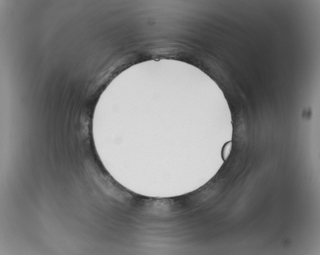 X0000112460282200909281028