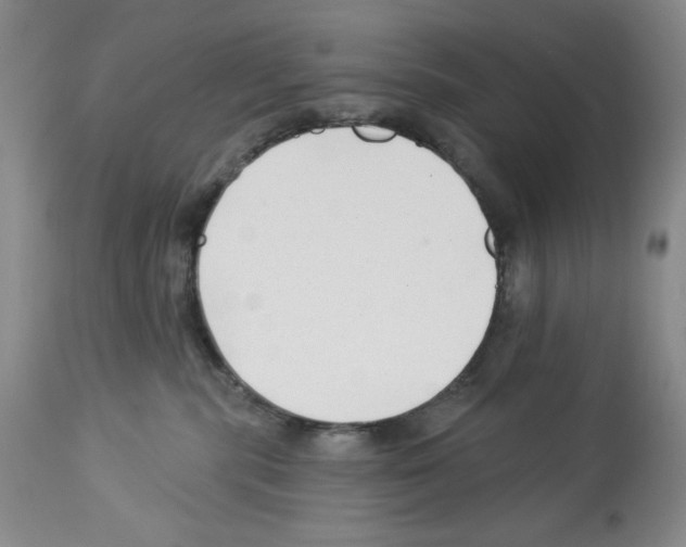 X0000112460283200909281028