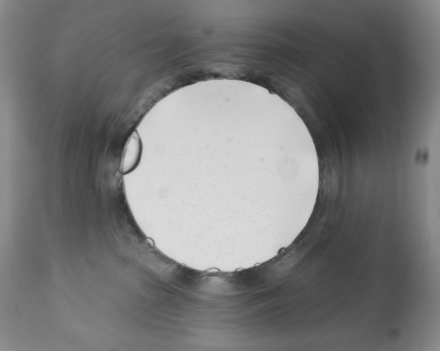 X0000112460285200909281029