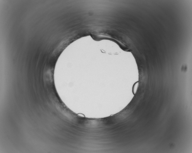 X0000112460286200909281029